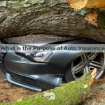 featured-what-is-the-purpose-of-auto-insurance